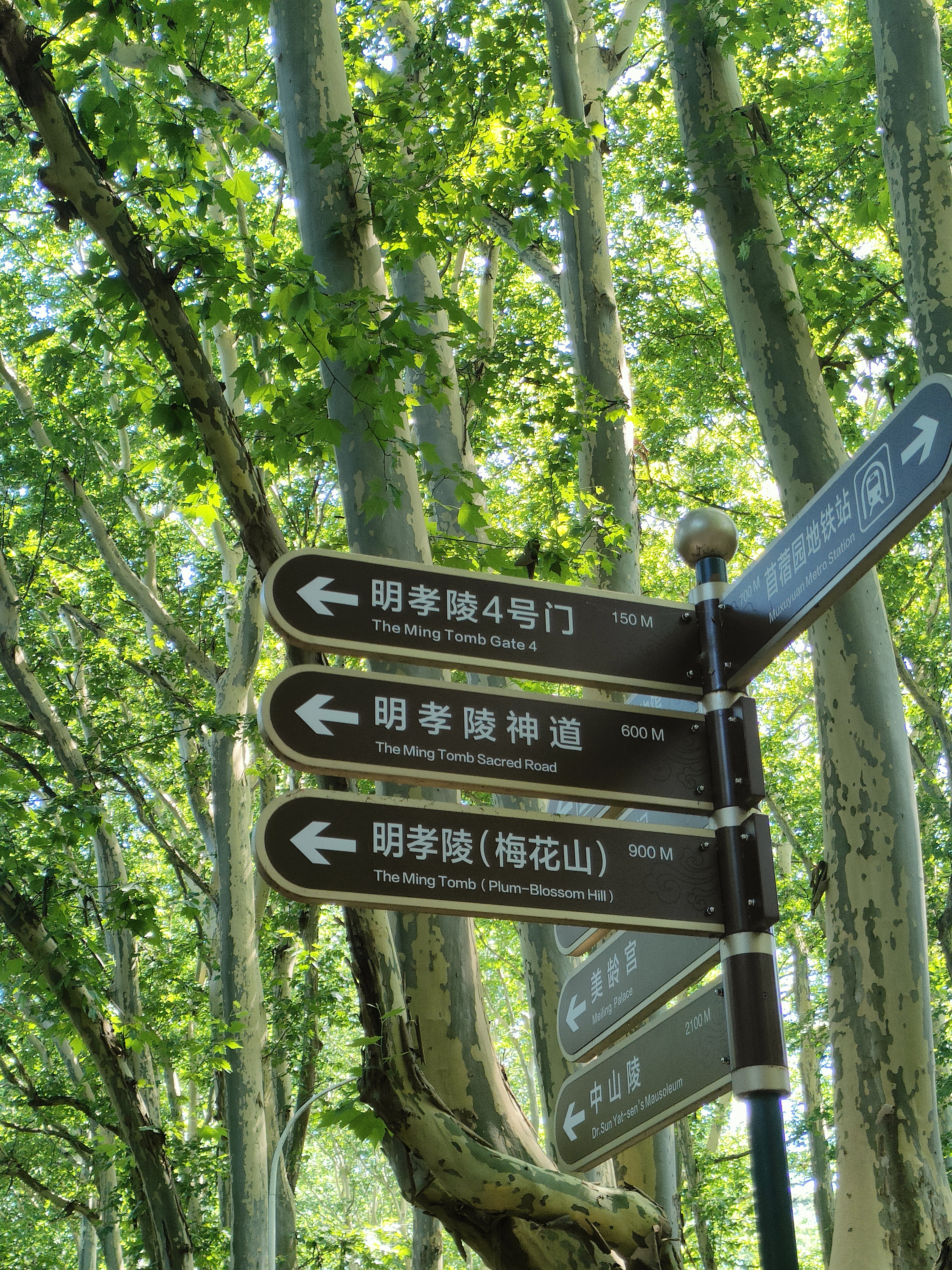 足迹2